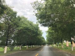-东戴河风景区
