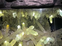 -湖南省地质博物馆