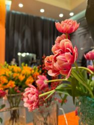 -花隐·美芙炫海菲秀皮肤管理中心