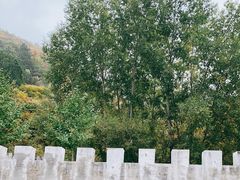 -云岫谷游猎自然风景区