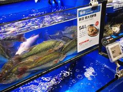 -盒马鲜生(双清路店)