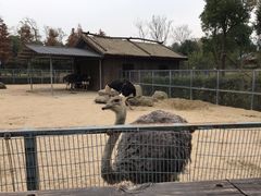 -苏州上方山国家森林公园