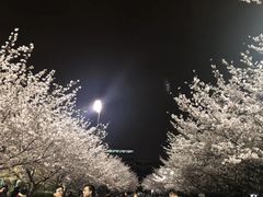 -同济大学四平路校区游泳馆