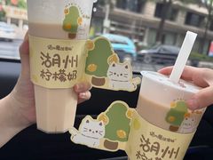 -猫的魔法密林(衣裳街店)