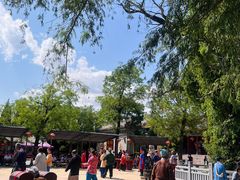 -大槐树寻根祭祖园