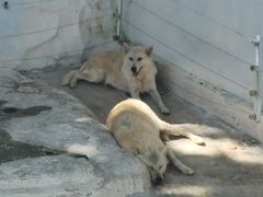 -大连森林动物园