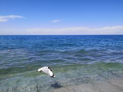 -青海湖二郎剑景区