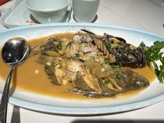 -乔家小院•非遗驴肉•本地小海鲜(滨河路店)