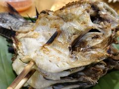 -杨合林啊兰烤鱼