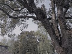 -兰亭风景区