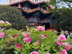 -洛阳市隋唐城遗址植物园