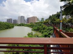 -金鸡岭桥头公园