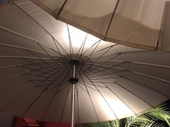 -the rug 飞毯 (朝阳公园店)