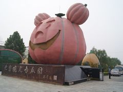 景点-观光南瓜园