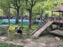 -上海野生动物园