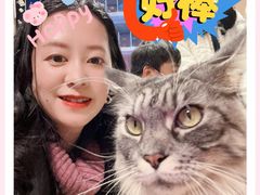 -MOCHA明星猫咖(田子坊店)