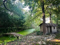 -昆山城市生态森林公园