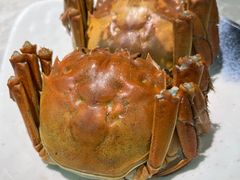 -璞臻汽锅餐厅(南京东路店)