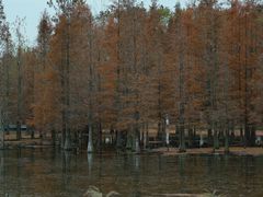 -白鹭湾湿地公园