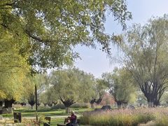 -汉长安城未央宫国家考古遗址公园