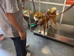-宠物世家(仲盛世界商城店)