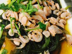 -烁佳海鲜大馅饺子