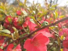 -白塘生态植物园