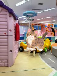 -孩子王童乐园(成都吾悦广场店)