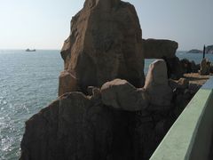 -枸杞岛