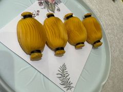 -金粤九号(李公堤店)