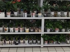 -大润发(明珠店)