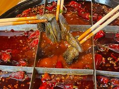 -白乐天毛肚火锅馆(南滨路店)