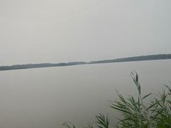 -西青郊野公园