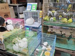-苏州市皮市街花鸟工艺品市场