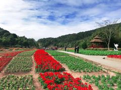 -广州市石门国家森林公园