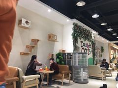 大堂-藏猫猫咖啡主题馆(中央大道店)