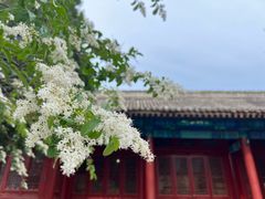 -大钟寺古钟博物馆