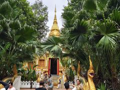 -西双版纳融创皇冠假日度假酒店