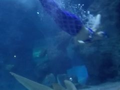 -左海海底世界