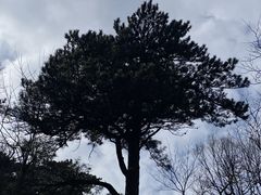 -湖州龙王山景区