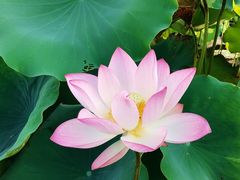 -厦门国家会计学院