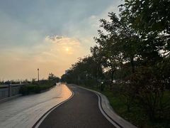 -广富林郊野公园