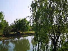 -广富林郊野公园