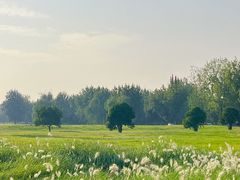 -汉长安城未央宫国家考古遗址公园