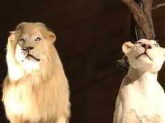 -贝林大翅鲸简餐厅(国家海洋博物馆店)