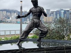 -星光大道