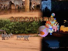 -杭州野生动物世界