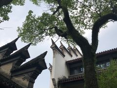 -天一阁博物院