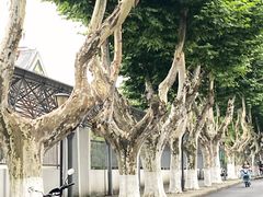 -浙江大学(玉泉校区)