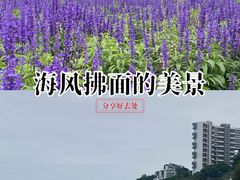 -玫瑰海岸文化旅游度假区